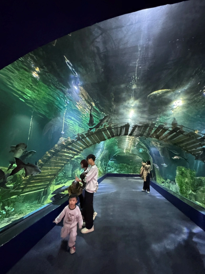 Quy hoạch kh&ocirc;ng gian ngầm - vấn đề tất yếu của đ&ocirc; thị đặc biệt- Ảnh 2.