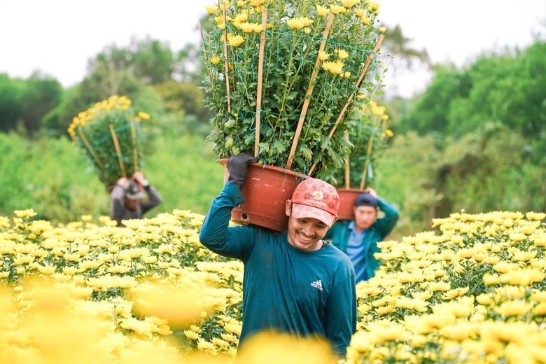 Đồng Nai: Hoa Tết rực rỡ xuống phố, tiểu thương hồi hộp chờ cao điểm mua sắm- Ảnh 8.