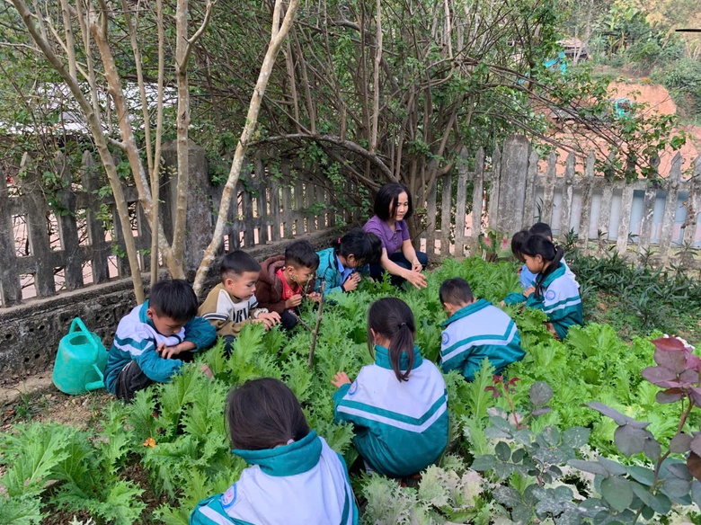 C&ocirc; gi&aacute;o v&ugrave;ng cao v&agrave; h&agrave;nh tr&igrave;nh gieo chữ thầm lặng- Ảnh 1.