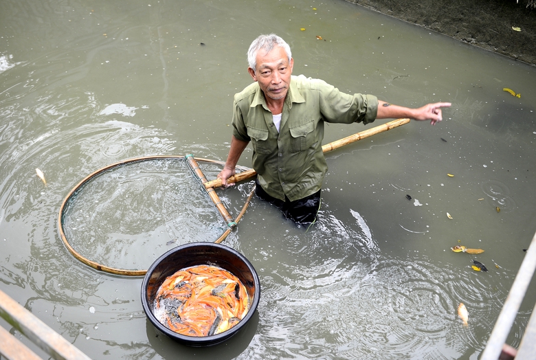 Thủ phủ c&aacute; ch&eacute;p ở Thanh H&oacute;a "ch&aacute;y h&agrave;ng" trước ng&agrave;y &ocirc;ng C&ocirc;ng, &ocirc;ng T&aacute;o- Ảnh 2.