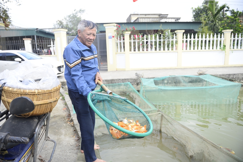 Thủ phủ c&aacute; ch&eacute;p ở Thanh H&oacute;a "ch&aacute;y h&agrave;ng" trước ng&agrave;y &ocirc;ng C&ocirc;ng, &ocirc;ng T&aacute;o- Ảnh 3.