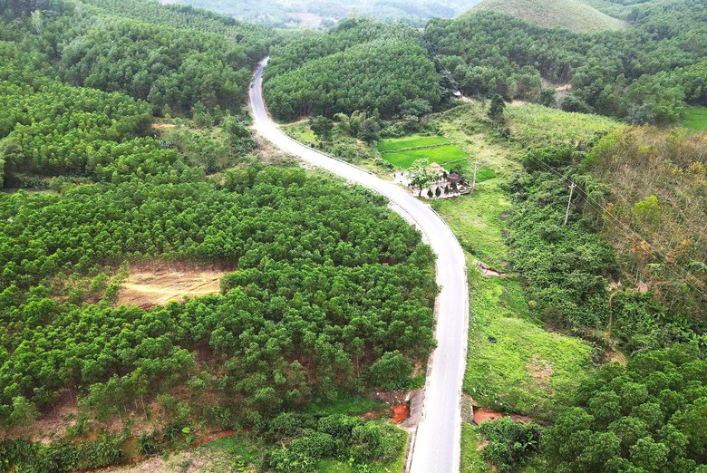 Xe chở quặng gia tăng tr&ecirc;n QL49, Huế t&iacute;nh phương &aacute;n cấm xe tải tr&ecirc;n 4 trục- Ảnh 9.