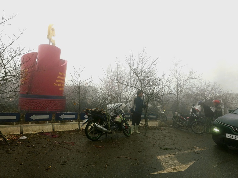 Đào rừng, nhất chi mai ở Sa Pa nhộn nhịp xuống phố- Ảnh 1. Đào rừng, nhất chi mai ở Sa Pa nhộn nhịp xuống phố- Ảnh 1.