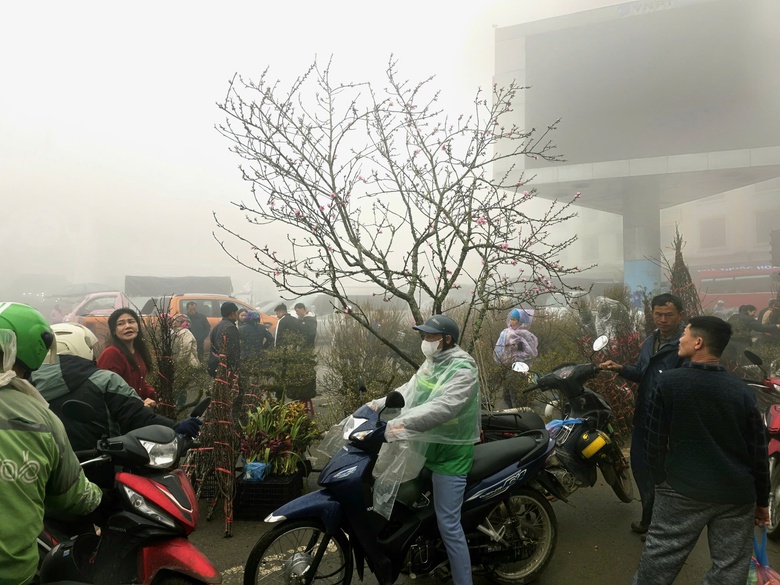 Đào rừng, nhất chi mai ở Sa Pa nhộn nhịp xuống phố- Ảnh 18. Đào rừng, nhất chi mai ở Sa Pa nhộn nhịp xuống phố- Ảnh 18.