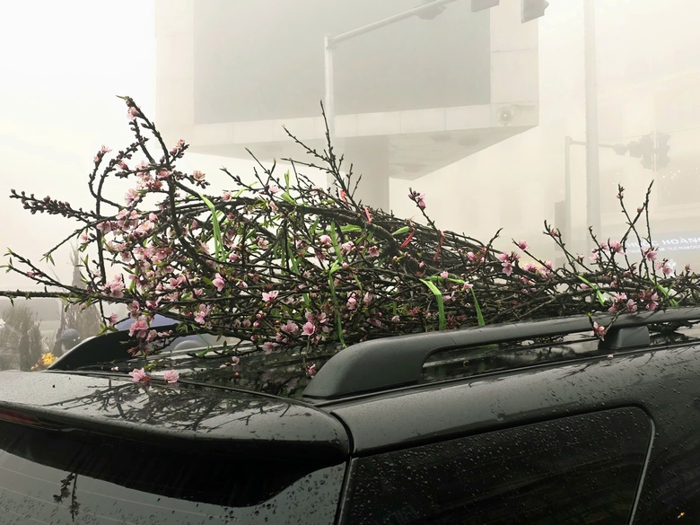 Đào rừng, nhất chi mai ở Sa Pa nhộn nhịp xuống phố- Ảnh 19. Đào rừng, nhất chi mai ở Sa Pa nhộn nhịp xuống phố- Ảnh 19.