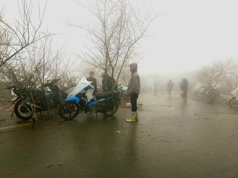 Đào rừng, nhất chi mai ở Sa Pa nhộn nhịp xuống phố- Ảnh 3. Đào rừng, nhất chi mai ở Sa Pa nhộn nhịp xuống phố- Ảnh 3.