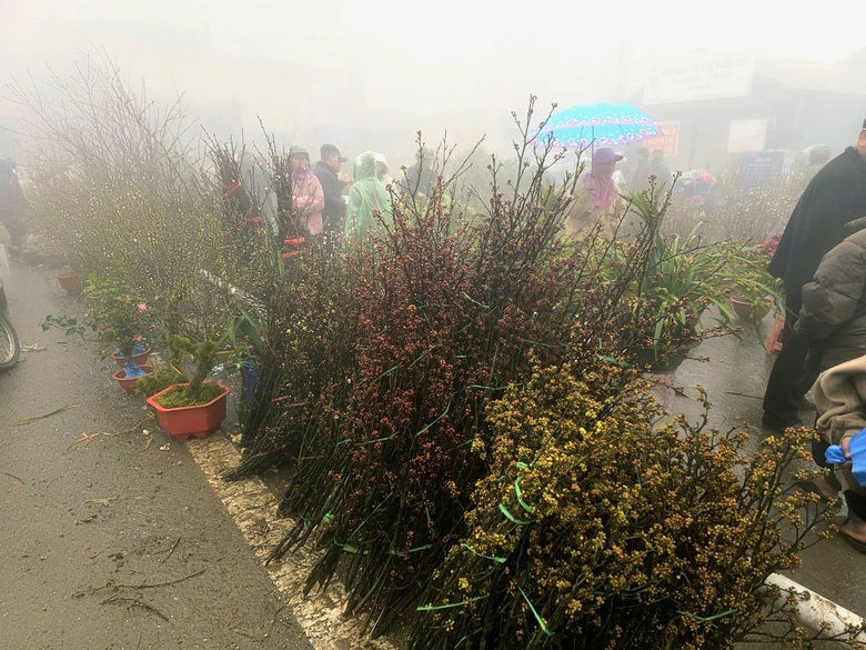 Đào rừng, nhất chi mai ở Sa Pa nhộn nhịp xuống phố- Ảnh 13. Đào rừng, nhất chi mai ở Sa Pa nhộn nhịp xuống phố- Ảnh 13.