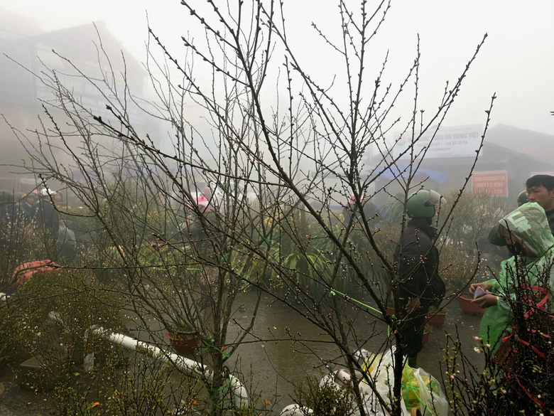 Đào rừng, nhất chi mai ở Sa Pa nhộn nhịp xuống phố- Ảnh 10. Đào rừng, nhất chi mai ở Sa Pa nhộn nhịp xuống phố- Ảnh 10.