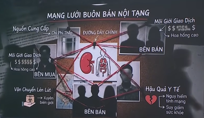 Bộ Y tế yêu cầu thực hiện việc lấy, ghép tạng theo đúng pháp luật- Ảnh 1. Bộ Y tế yêu cầu thực hiện việc lấy, ghép tạng theo đúng pháp luật- Ảnh 1.