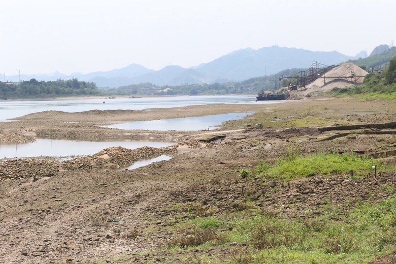 S&ocirc;ng Đ&agrave; cạn trơ đ&aacute;y, c&oacute; thể đi bộ dạo giữa l&ograve;ng s&ocirc;ng- Ảnh 4.