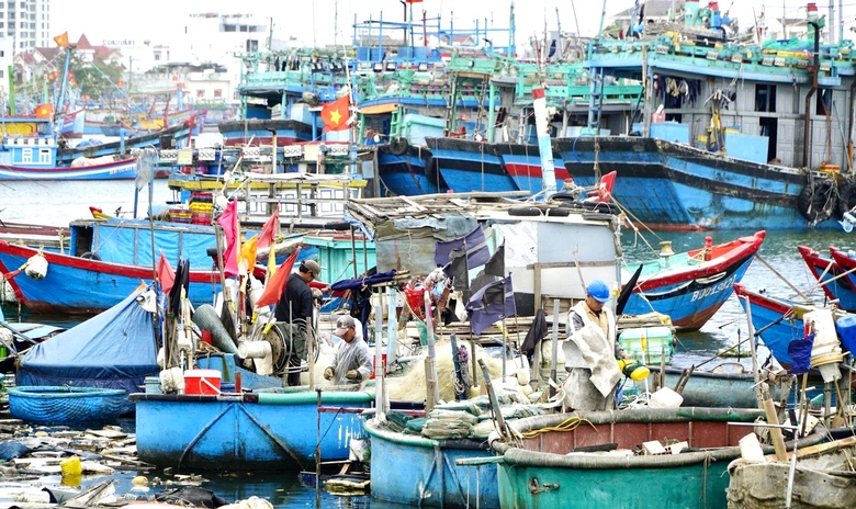 Ngư d&acirc;n Gia Lai thu xếp chuyến đi biển để kịp tham gia bầu cử- Ảnh 1.