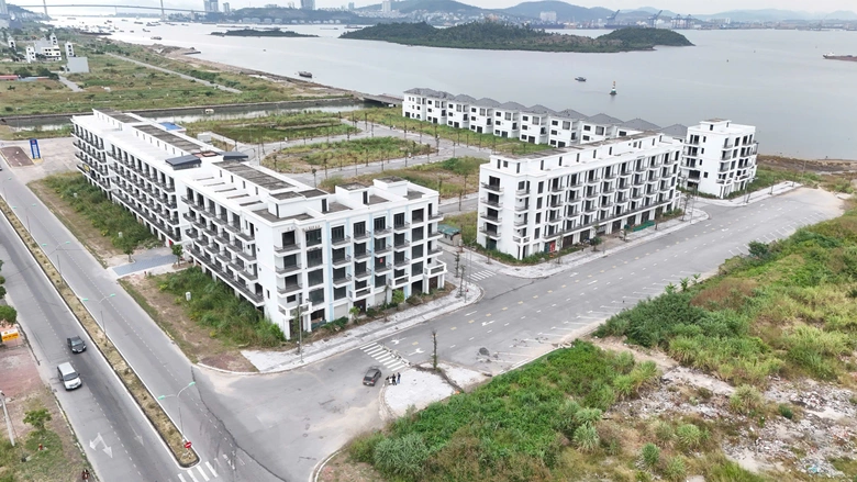 Quảng Ninh: R&agrave; so&aacute;t to&agrave;n diện dự &aacute;n đ&ocirc; thị ở Cao Xanh, quyết th&aacute;o gỡ điểm nghẽn ph&aacute;p l&yacute;- Ảnh 3.