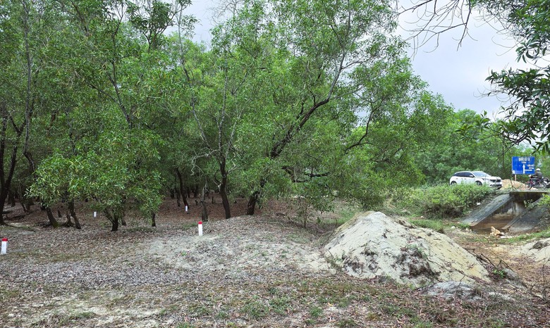 Tháo gỡ mặt bằng, đẩy nhanh dự án QL15D đoạn cảng Mỹ Thủy đến cao tốc Cam Lộ - La Sơn- Ảnh 3. Tháo gỡ mặt bằng, đẩy nhanh dự án QL15D đoạn cảng Mỹ Thủy đến cao tốc Cam Lộ - La Sơn- Ảnh 3.