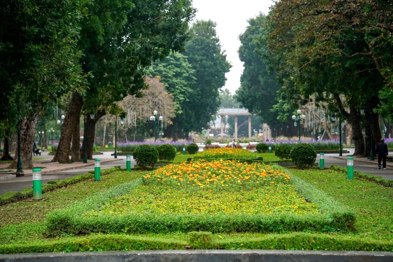 Tiềm năng v&agrave; giải ph&aacute;p để n&acirc;ng tầm c&ocirc;ng vi&ecirc;n đ&ocirc; thị tại Việt Nam- Ảnh 2.