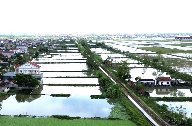 Nghệ An tăng tốc xây dựng khu tái định cư phục vụ dự án đường sắt tốc độ cao- Ảnh 3. Nghệ An tăng tốc xây dựng khu tái định cư phục vụ dự án đường sắt tốc độ cao- Ảnh 3.