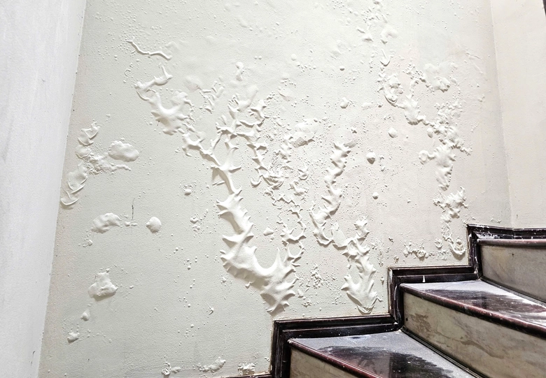 E:\Năm 2026\Th&aacute;ng 3\z7578105469146_6831c2ee01658f3aa7b699358adeec61.jpg