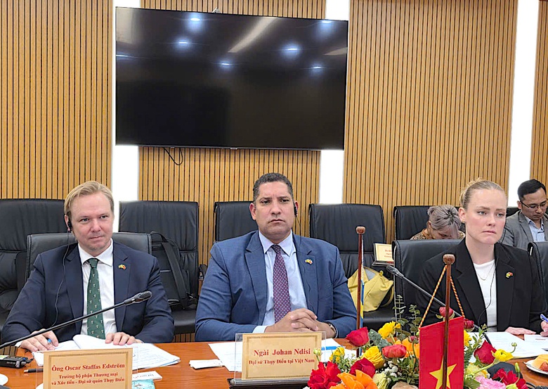 Thụy Điển muốn đồng h&agrave;nh c&ugrave;ng Việt Nam ph&aacute;t triển đường sắt hiện đại- Ảnh 3.