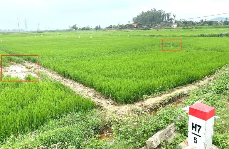 Sẵn sàng các điều kiện khởi công cao tốc Vinh - Thanh Thủy vào 30/4- Ảnh 2. Sẵn sàng các điều kiện khởi công cao tốc Vinh - Thanh Thủy vào 30/4- Ảnh 2.