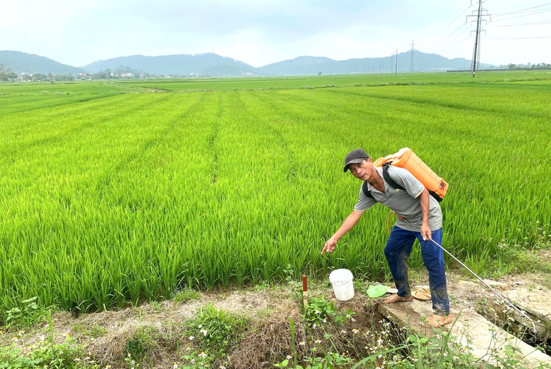 Sẵn sàng các điều kiện khởi công cao tốc Vinh - Thanh Thủy vào 30/4- Ảnh 1. Sẵn sàng các điều kiện khởi công cao tốc Vinh - Thanh Thủy vào 30/4- Ảnh 1.