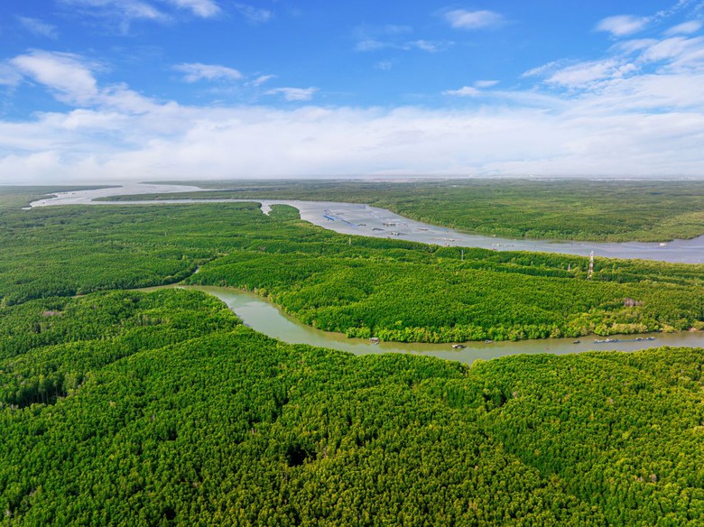 Cơn khát “biểu tượng du lịch châu Á” của TP. HCM và cơ hội thế kỷ cho Cần Giờ- Ảnh 2. Cơn khát “biểu tượng du lịch châu Á” của TP. HCM và cơ hội thế kỷ cho Cần Giờ- Ảnh 2.