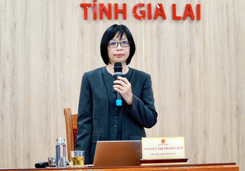 Gia Lai kỳ vọng đ&oacute;n 70.000 lượt kh&aacute;ch trong sự kiện Năm Du lịch quốc gia 2026- Ảnh 1.