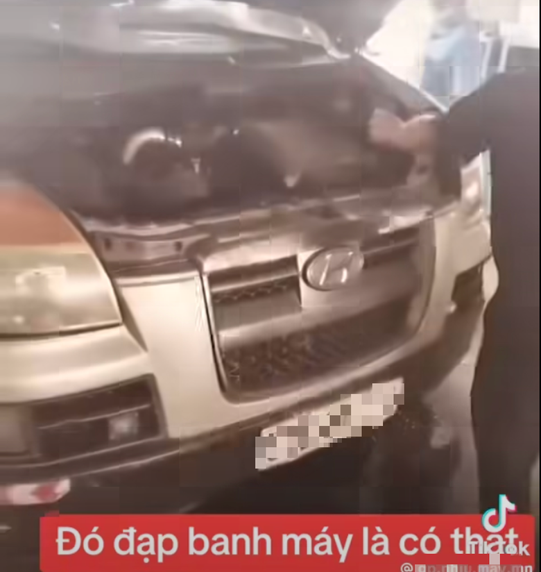 Cảnh b&aacute;o lan truyền th&ocirc;ng tin sai lệch về kiểm định kh&iacute; thải &ocirc; t&ocirc;- Ảnh 3.