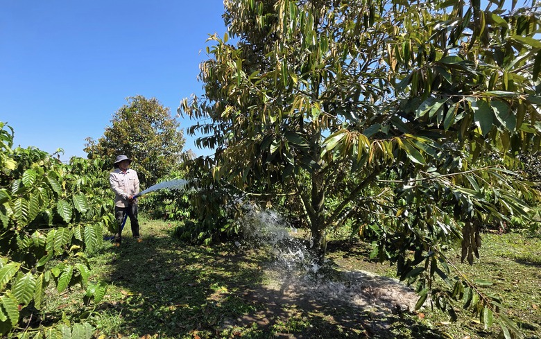 Ứng phó biến động xăng dầu: Người dân, doanh nghiệp xoay xở giữ nhịp sản xuất- Ảnh 3. Ứng phó biến động xăng dầu: Người dân, doanh nghiệp xoay xở giữ nhịp sản xuất- Ảnh 3.