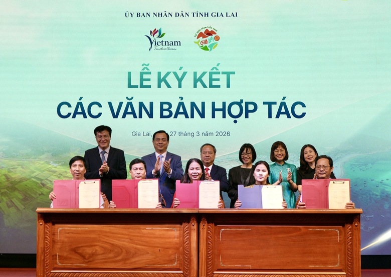 Gia Lai định vị du lịch thành ngành kinh tế mũi nhọn của tỉnh- Ảnh 4. Gia Lai định vị du lịch thành ngành kinh tế mũi nhọn của tỉnh- Ảnh 4.