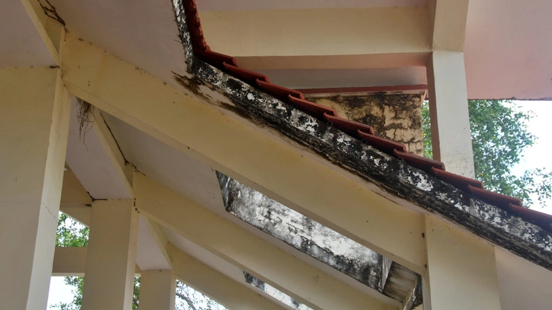 Di t&iacute;ch quốc gia Ninh Thạnh Lợi sắp được t&ocirc;n tạo- Ảnh 8.