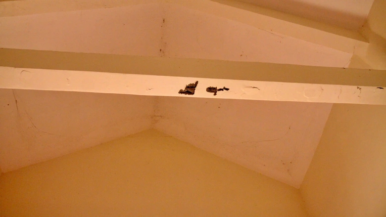 Di t&iacute;ch quốc gia Ninh Thạnh Lợi sắp được t&ocirc;n tạo- Ảnh 10.