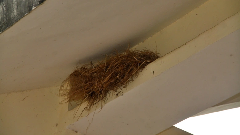 Di t&iacute;ch quốc gia Ninh Thạnh Lợi sắp được t&ocirc;n tạo- Ảnh 9.