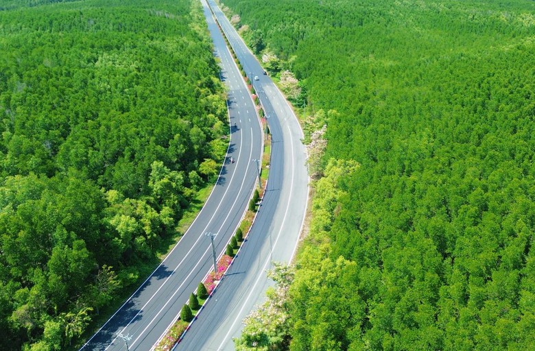 Hơn 5.000 vận động vi&ecirc;n tham gia VnExpress Marathon Green Paradise Cần Giờ- Ảnh 2.