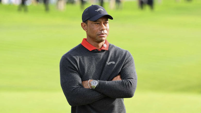 Tiger Woods bị bắt sau tai nạn giao thông- Ảnh 2. Tiger Woods bị bắt sau tai nạn giao thông- Ảnh 2.