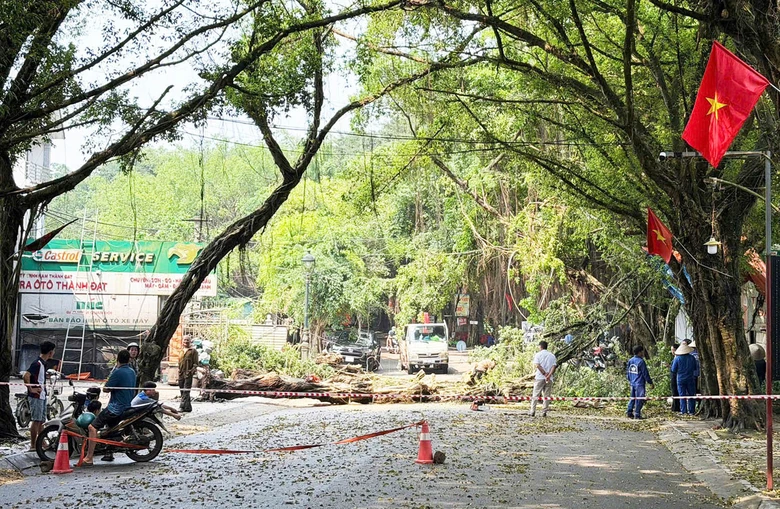 Khắc phục nhanh thiệt hại do mưa d&ocirc;ng, gi&oacute; giật tại khu di t&iacute;ch lịch sử Đền H&ugrave;ng- Ảnh 3.