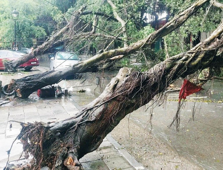 Khắc phục nhanh thiệt hại do mưa d&ocirc;ng, gi&oacute; giật tại khu di t&iacute;ch lịch sử Đền H&ugrave;ng- Ảnh 1.