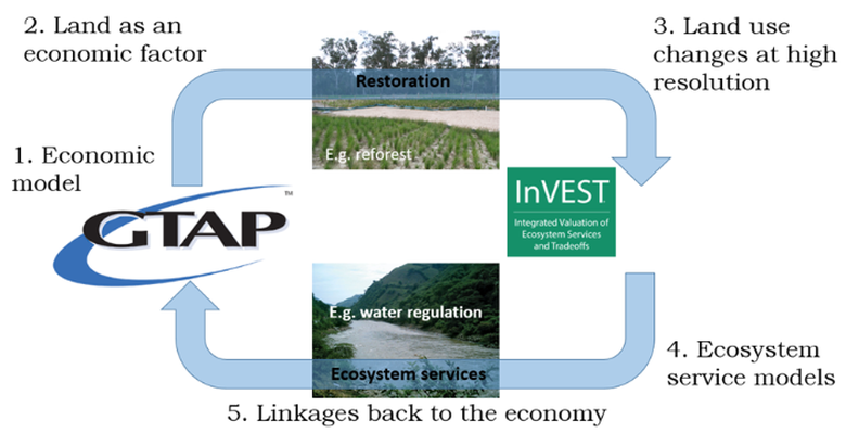 Mô hình kinh tế tích hợp sinh thái. Mô hình kinh tế tích hợp sinh thái.