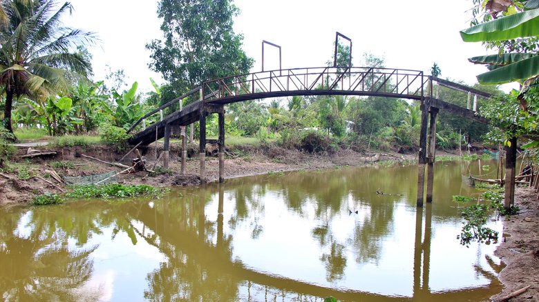 Giải b&agrave;i to&aacute;n thiếu nước ngọt m&ugrave;a hạn, x&acirc;m nhập mặn ở C&agrave; Mau - Ảnh 2.