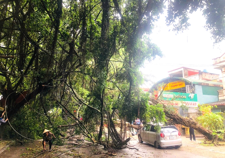 Ph&uacute; Thọ: Ảnh hưởng mưa d&ocirc;ng, nhiều t&agrave;i sản v&agrave; hoa m&agrave;u bị thiệt hại- Ảnh 1.