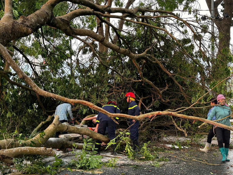 D&ocirc;ng lốc tại L&agrave;o Cai l&agrave;m 3 người bị thương, hơn 4.100 nh&agrave; d&acirc;n tốc m&aacute;i- Ảnh 3.