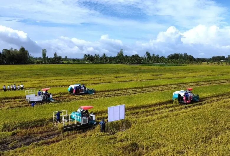 Doanh nghiệp, hiệp hội chung tay giữ nhịp sản xuất n&ocirc;ng nghiệp- Ảnh 2.