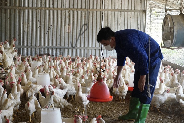 Doanh nghiệp, hiệp hội chung tay giữ nhịp sản xuất n&ocirc;ng nghiệp- Ảnh 4.