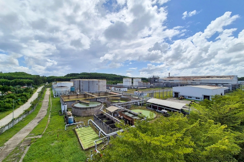 BSR sẵn s&agrave;ng sản xuất khoảng 60.000 tấn nhi&ecirc;n liệu sinh học để pha chế xăng E10- Ảnh 1.