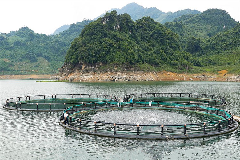 Đẩy mạnh nuôi tôm, cá núi- Ảnh 1. Đẩy mạnh nuôi tôm, cá núi- Ảnh 1.