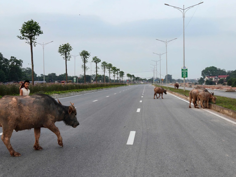 Từng là điểm nóng tai nạn giao thông, Vành đai 5 Thái Nguyên dần an toàn hơn- Ảnh 5. Từng là điểm nóng tai nạn giao thông, Vành đai 5 Thái Nguyên dần an toàn hơn- Ảnh 5.