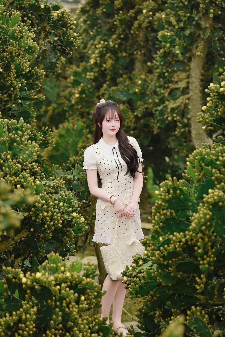 Vườn xương rồng nở hoa vàng rực hút khách ở Mộc Châu- Ảnh 7. Vườn xương rồng nở hoa vàng rực hút khách ở Mộc Châu- Ảnh 7.