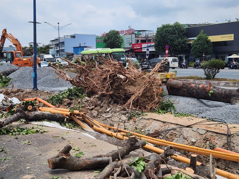 TP.HCM: Di dời, đốn hạ h&agrave;ng trăm c&acirc;y xanh để l&agrave;m ga ngầm metro số 2- Ảnh 2.