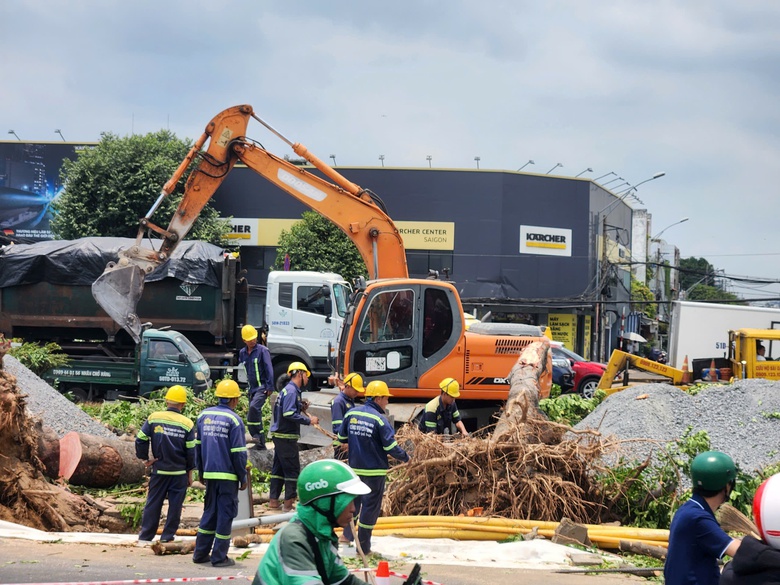 TP.HCM: Di dời, đốn hạ h&agrave;ng trăm c&acirc;y xanh để l&agrave;m ga ngầm metro số 2- Ảnh 1.
