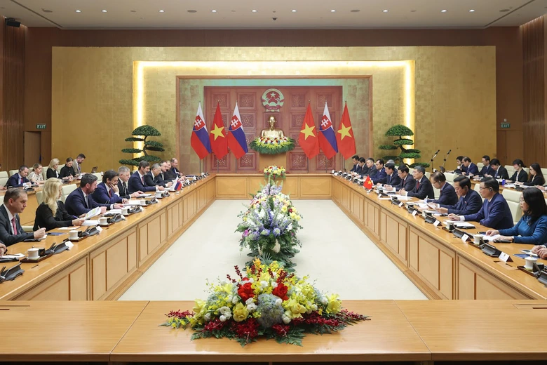 N&acirc;ng cấp quan hệ Việt Nam - Slovakia l&ecirc;n Đối t&aacute;c Chiến lược- Ảnh 2.