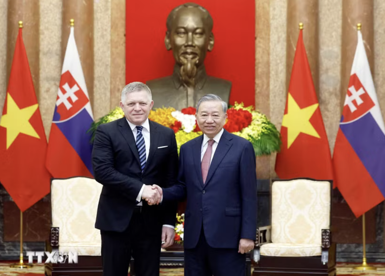 Việt Nam - Slovakia chú trọng thành lập dự án "hải đăng" trong lĩnh vực công nghiệp ô tô- Ảnh 1. Việt Nam - Slovakia chú trọng thành lập dự án "hải đăng" trong lĩnh vực công nghiệp ô tô- Ảnh 1.