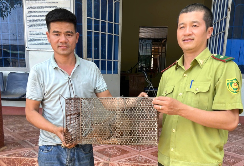 Lâm Đồng: Bắt được tê tê quý hiếm, nam tài xế tự nguyện giao nộp cơ quan chức năng- Ảnh 1. Lâm Đồng: Bắt được tê tê quý hiếm, nam tài xế tự nguyện giao nộp cơ quan chức năng- Ảnh 1.